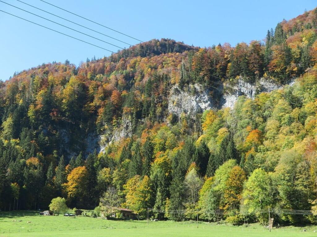 Nagelsmederij In Het Huis Waldwinkel Villa Aschau im Chiemgau Exterior photo